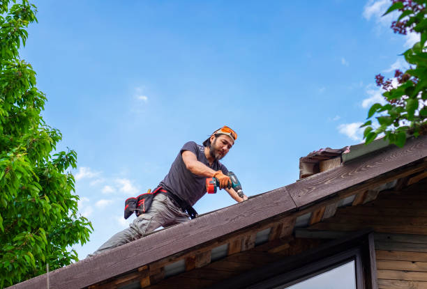 Best Roof Coating and Sealing  in Doney Park, AZ