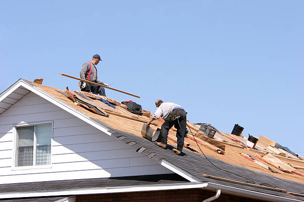 Steel Roofing in Doney Park, AZ